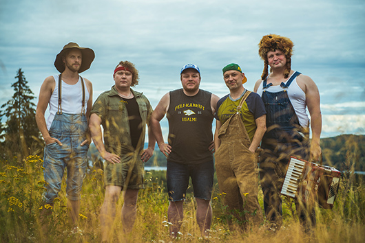Steve'n'Seagulls