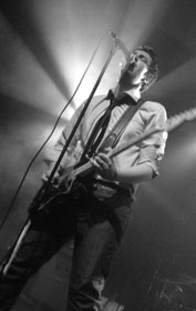 COLD PARADISE - Alex