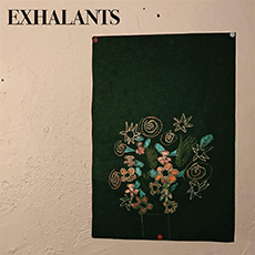 Exhalants
