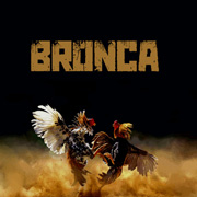 Bronca