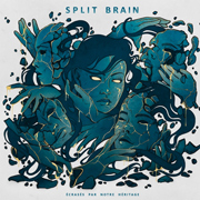 Split Brain